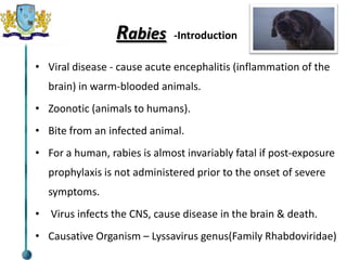 Rabies jsk nagarajan | PPTX