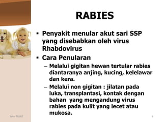 RABIES
 Penyakit menular akut sari SSP
yang disebabkan oleh virus
Rhabdovirus
 Cara Penularan
– Melalui gigitan hewan te...