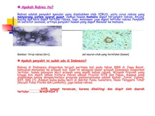 PRESENTASI Rabies-Ratmoko NUSA TENGGARA BARAT.ppt
