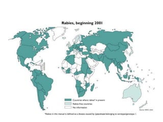 Rabies : approach diagnostic and prophylaxis | PPTX