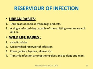 Rabies 