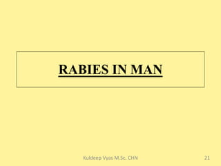 Rabies 