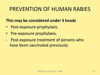 Rabies 