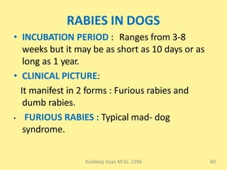 Rabies 