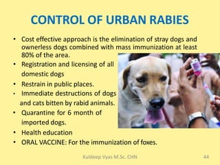 Rabies 