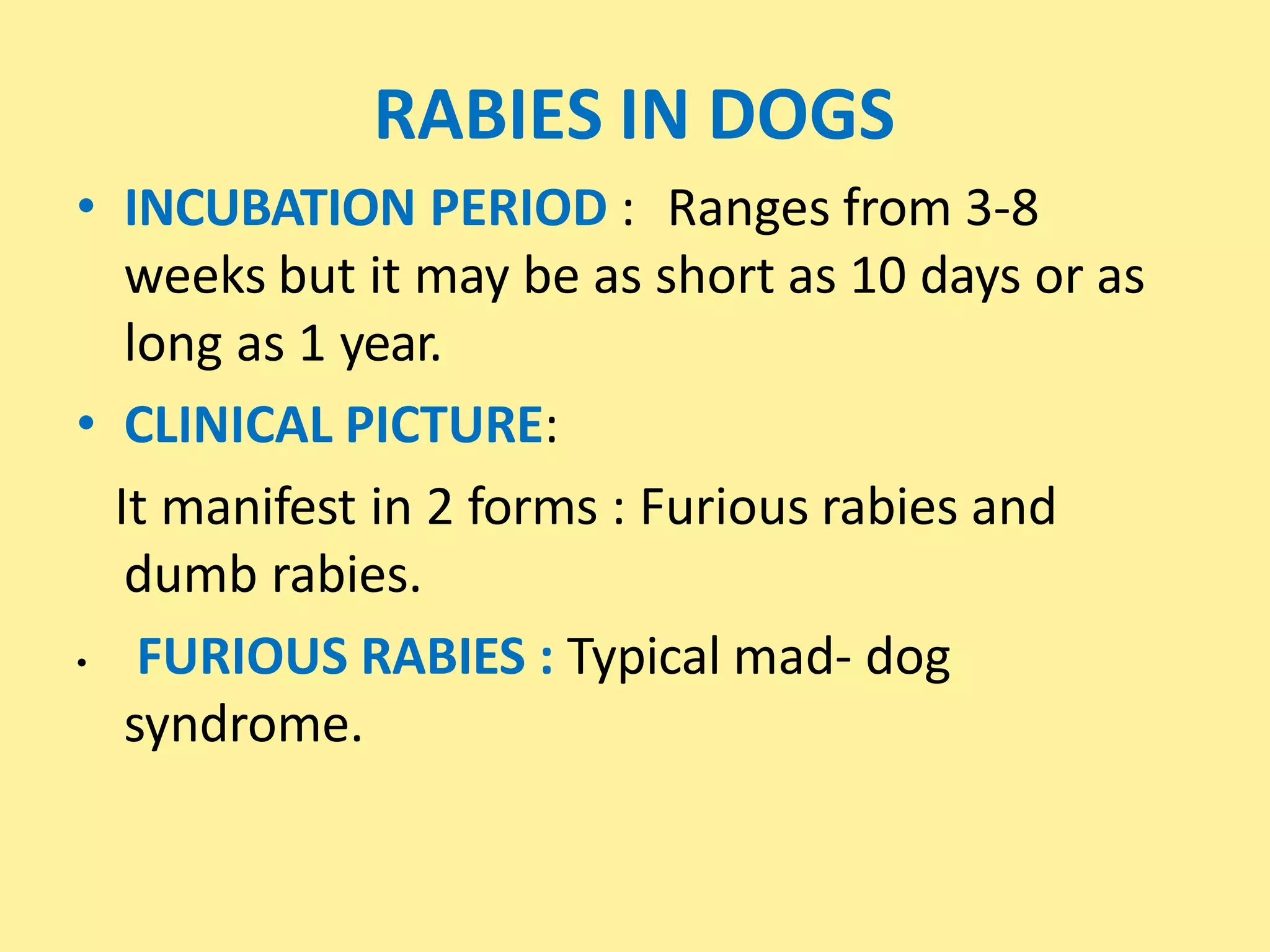 rabies review | PPTX | Infectious Diseases | Diseases and Conditions