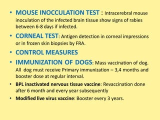 • MOUSE INOCCULATION TEST : Intracerebral mouse
inoculation of the infected brain tissue show signs of rabies
between 6-8 days if infected.
• CORNEAL TEST: Antigen detection in corneal impressions
or in frozen skin biopsies by FRA.
• CONTROL MEASURES
• IMMUNIZATION OF DOGS: Mass vaccination of dog.
All dog must receive Primary immunization – 3,4 months and
booster dose at regular interval.
• BPL inactivated nervous tissue vaccine: Revaccination done
after 6 month and every year subsequently
• Modified live virus vaccine: Booster every 3 years.
 