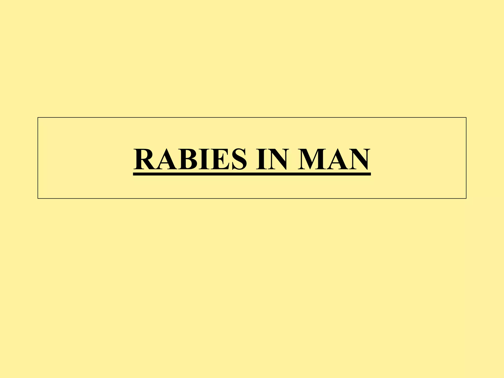 Rabies ppt | PPTX