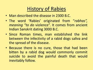 Rabies ppt | PPTX