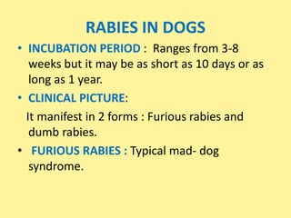 Rabies ppt | PPTX