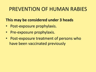 Rabies  ppt