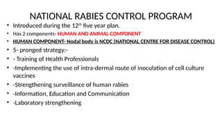 RABIES-RB epidemiology community health nursing | PPTX