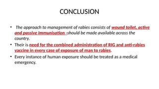 RABIES-RB epidemiology community health nursing | PPTX