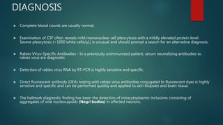 Rabies rod prasad | PPTX