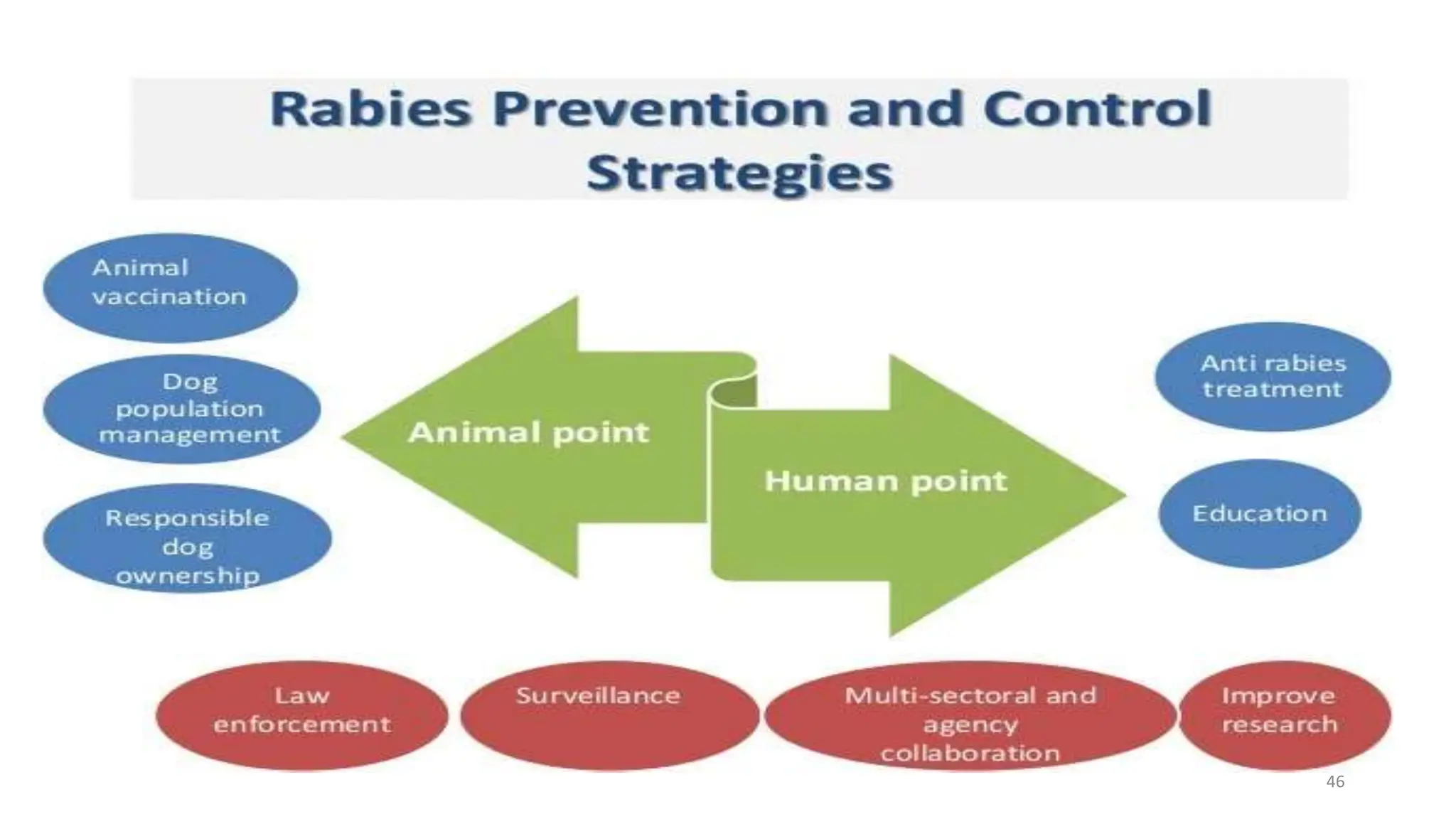Rabies - presentation 2024 ims & SUM Hospital campus 2 | PPTX