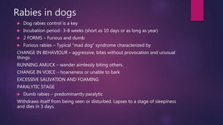 Furious Rabies Dogs Rabies | PPTX