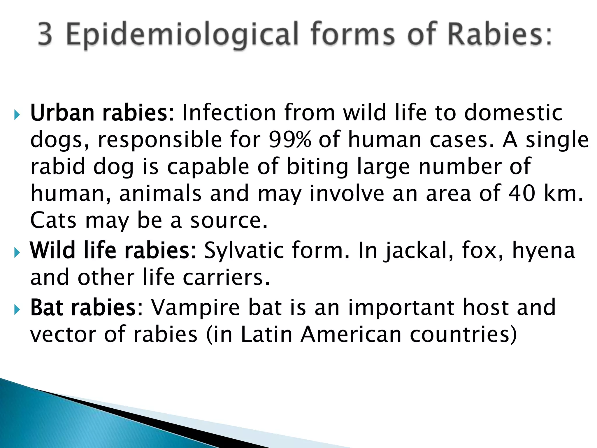 Rabies 1234 | PPTX | Infectious Diseases | Diseases and Conditions