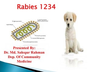 Rabies 1234

Presented By:
Dr. Md. Salequr Rahman
Dep. Of Community
Medicine

 