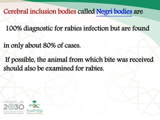 Rabies Inclusions Rabies (2) | PPTX