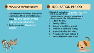 RABIES 2.pptx