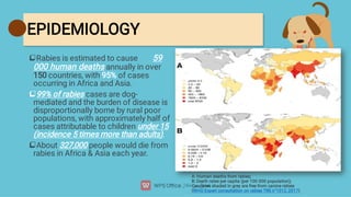 Human Rabies Statistics RABIES | PDF
