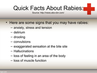 Rabies Awareness | PPT