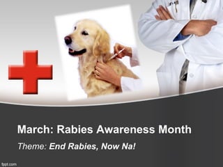 March: Rabies Awareness Month
Theme: End Rabies, Now Na!
 