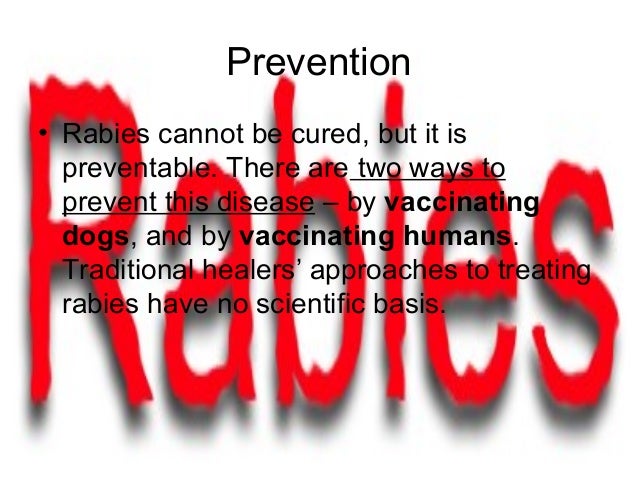 how often should dogs get rabies rabies bsmt 2 1 how often should dogs get rabies rabies bsmt 2 1