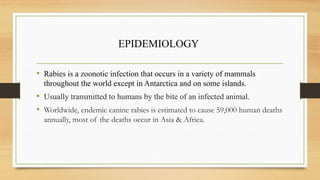 RABIES single strand RNA virus zoonotic infection | PPTX
