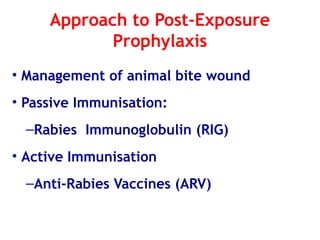 National rabies control program guidelines | PPTX