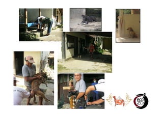 Village rabies working group: The knowledge translation of understanding better on dog ecology and community engagement for optimizing rabies control program in Bali, Indonesia
