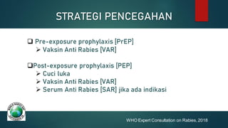 Comprehensive Management of Rabies-Transmitting Animal Bites: Diagnosis ...