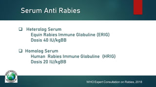 Comprehensive Management of Rabies-Transmitting Animal Bites: Diagnosis ...