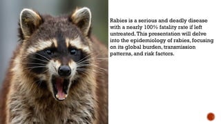 Rabies is a serious and deadly disease
with a nearly 100% fatality rate if left
untreated.This presentation will delve
into the epidemiology of rabies, focusing
on its global burden, transmission
patterns, and risk factors.
 