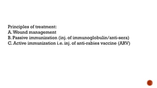Principles of treatment:
A.Wound management
B. Passive immunization (inj. of immunoglobulin/anti-sera)
C. Active immunization i.e. inj. of anti-rabies vaccine (ARV)
 