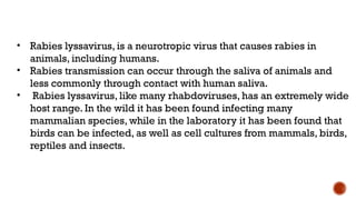 • Rabies lyssavirus, is a neurotropic virus that causes rabies in
animals, including humans.
• Rabies transmission can occur through the saliva of animals and
less commonly through contact with human saliva.
• Rabies lyssavirus, like many rhabdoviruses, has an extremely wide
host range. In the wild it has been found infecting many
mammalian species, while in the laboratory it has been found that
birds can be infected, as well as cell cultures from mammals, birds,
reptiles and insects.
 