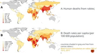 A: Human deaths from rabies;
B: Death rates per capita (per
100 000 population);
countries shaded in grey are free from
canine rabies (
WHO Expert consultation on rabies TRS n°
1012, 2017
)
 