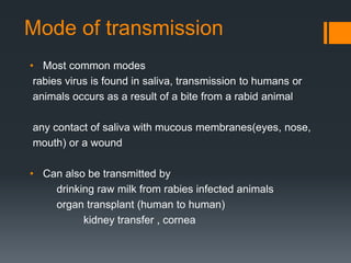 Researchgate How Rabies Is Transmitted Rabies ppt | PPTX