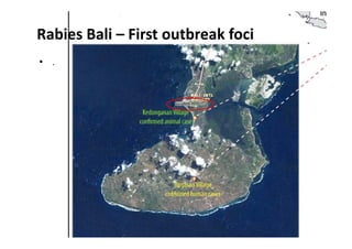 Rabies in Bali: A chronology and experience made with an EcoHealth approach for a better control of rabies