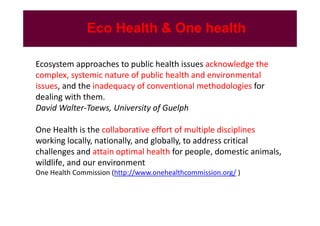 Rabies in Bali: A chronology and experience made with an EcoHealth approach for a better control of rabies