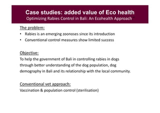 Rabies in Bali: A chronology and experience made with an EcoHealth approach for a better control of rabies