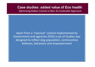 Rabies in Bali: A chronology and experience made with an EcoHealth approach for a better control of rabies