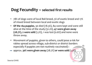 Rabies in Bali: A chronology and experience made with an EcoHealth approach for a better control of rabies