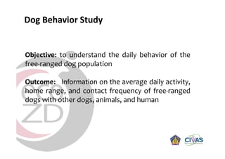 Rabies in Bali: A chronology and experience made with an EcoHealth approach for a better control of rabies