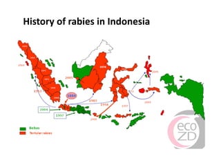 Rabies in Bali: A chronology and experience made with an EcoHealth approach for a better control of rabies