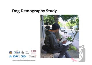 Rabies in Bali: A chronology and experience made with an EcoHealth approach for a better control of rabies