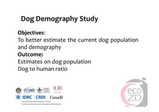 Rabies in Bali: A chronology and experience made with an EcoHealth approach for a better control of rabies