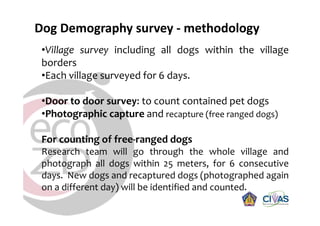 Rabies in Bali: A chronology and experience made with an EcoHealth approach for a better control of rabies