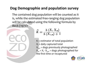 Rabies in Bali: A chronology and experience made with an EcoHealth approach for a better control of rabies