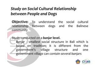 Rabies in Bali: A chronology and experience made with an EcoHealth approach for a better control of rabies